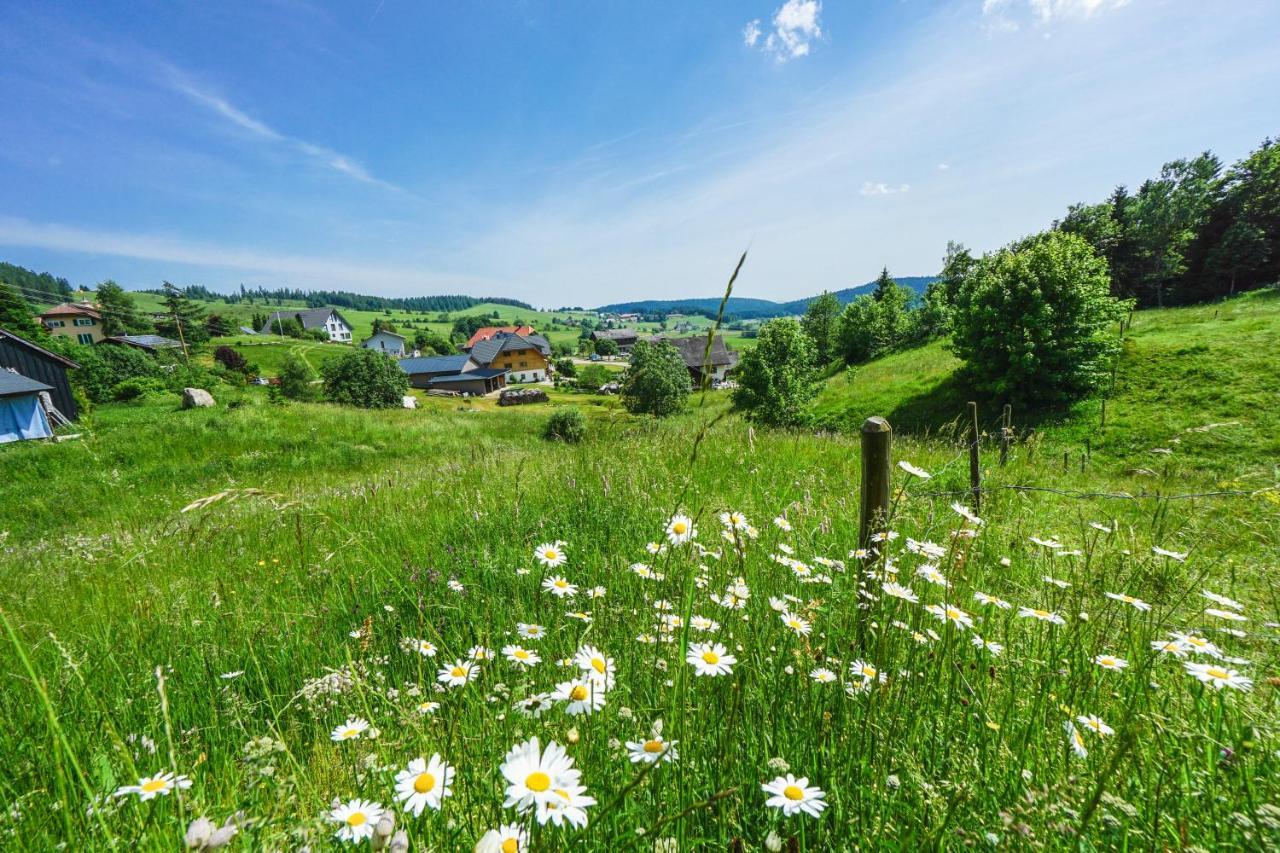Hubertus Lodge Ibach Dış mekan fotoğraf