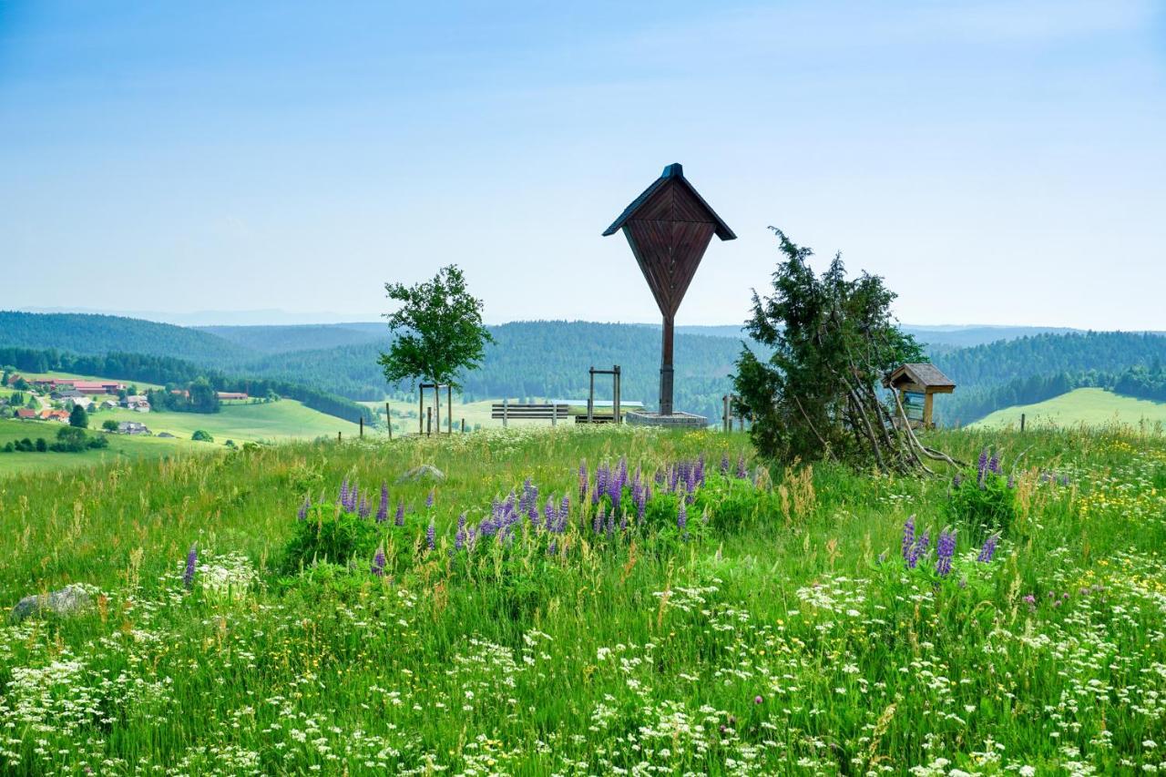 Hubertus Lodge Ibach Dış mekan fotoğraf