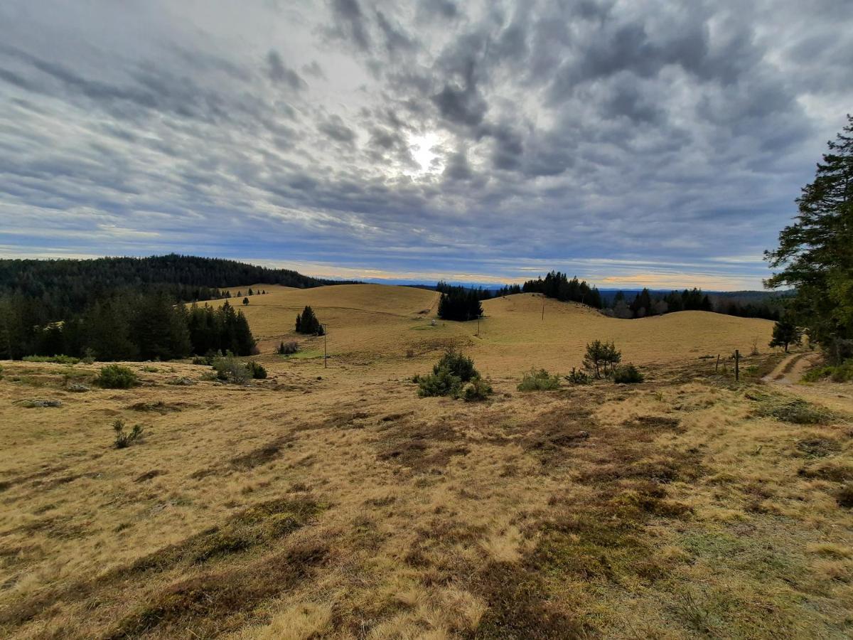 Hubertus Lodge Ibach Dış mekan fotoğraf